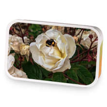 Busy Bees Garden sample blend