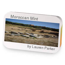 Moroccan Mint sample blend