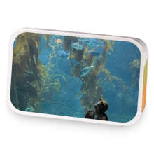 The Last King sample blend