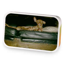 Irish Gunpowder sample blend