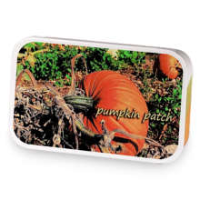Pumpkin Patch sample blend