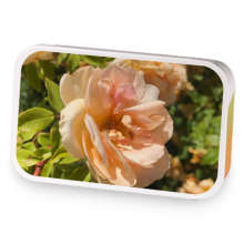 Oranges and Cream  sample blend
