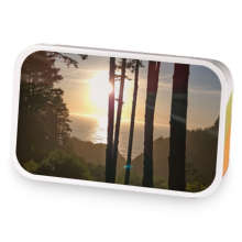 California Vacation Green sample blend