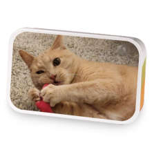 Cat Caramel sample blend