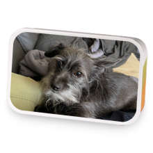 Lokis Blend sample blend