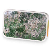 Springtime Flowers and Chai sample blend