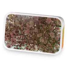 Springtime Easter Chai  sample blend