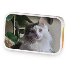 MamaLamas sample blend