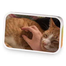 Humphrey my orange boy sample blend