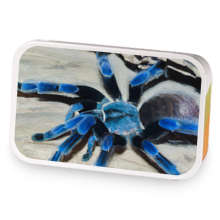 Azure Arachnid sample blend