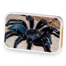 Midnight Silk sample blend