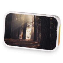 Sunlit Woods sample blend