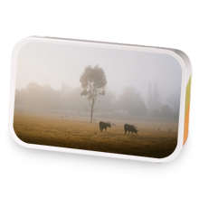 Misty Mornings sample blend