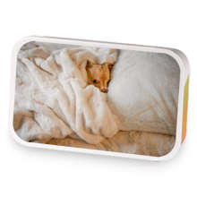 Blankets and Pillows sample blend