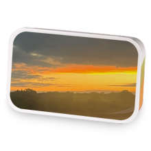 Gladiolus’ House Blend sample blend