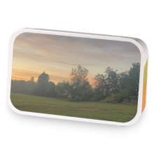 Gladiolus House Decafe sample blend