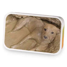 Strawb lemon hib sample blend