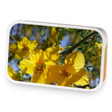 Double Chocolate Orange  sample blend