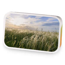 Kansas Sweet Grass  sample blend
