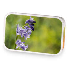 Texas Bluebells  sample blend