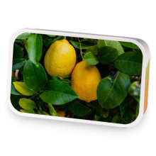 California Lemon Tree sample blend