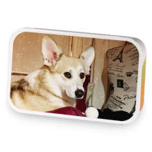 Corgi Hill Cozy sample blend