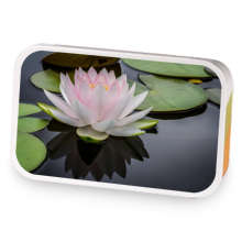 Herbal Relaxation  sample blend
