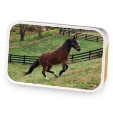 Rocky Runs for the Roses sample blend