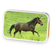 Diamond's Dessert Decaf sample blend