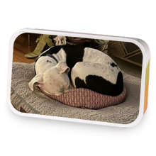 Simon's Green Citrus  sample blend