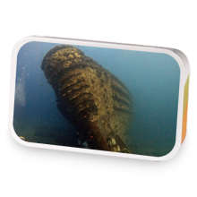 Sweet Boston Apple Strawberry  sample blend