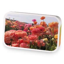 Field of Contentment sample blend