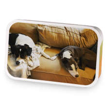 South Soulard Galentines Day sample blend