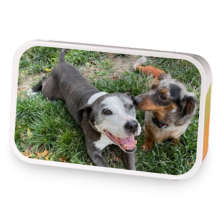 Indulgent Galentines Tisane sample blend