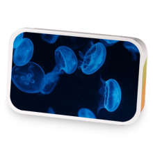 Serene Blue Elixir sample blend