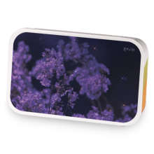 Midnight Reverie sample blend