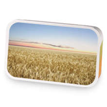 Oklahoma Plains  sample blend