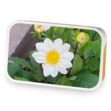 Chamomile and Anise with spearmint  sample blend