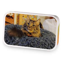 Nutty Cat sample blend