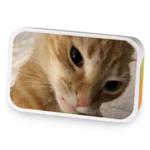 orange kitty blend 2 : Spice sample blend