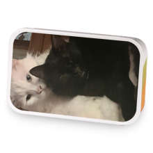 blend image