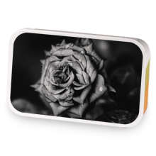 Christys grey rose sample blend