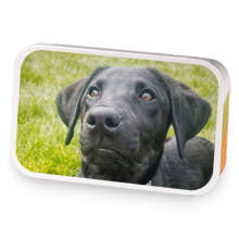 Med Ball sample blend