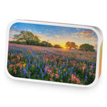 Among the Wildflowers sample blend