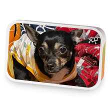 Ashley�AeOes tea sample blend