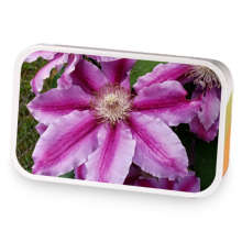 Spring Walks sample blend
