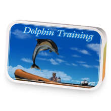 Dolphin Training sample blend