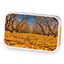 Citrus Peach sample blend