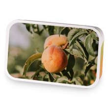 Peach Apricot sample blend