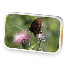 Virginia Ferrar sample blend